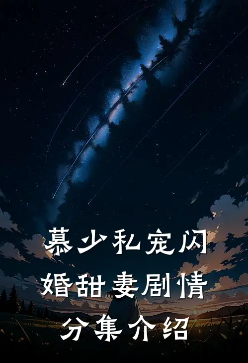 慕少私宠闪婚甜妻剧情分集介绍