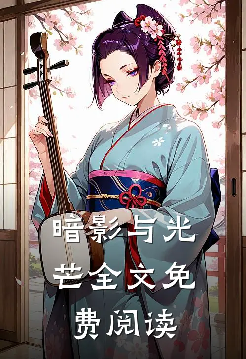 暗影与光芒全文免费阅读