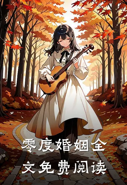 零度婚姻全文免费阅读