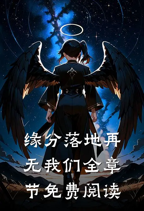 缘分落地再无我们全章节免费阅读