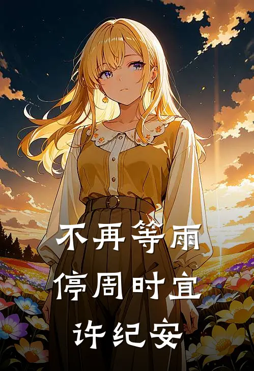 不再等雨停周时宜许纪安