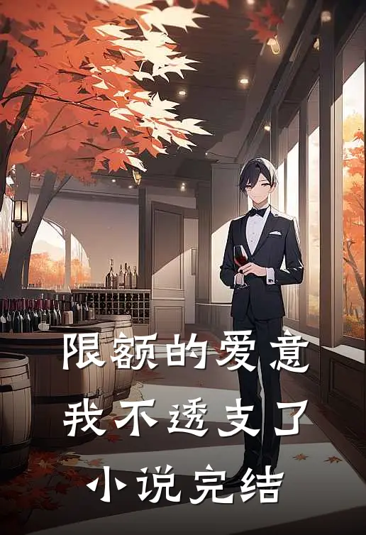 限额的爱意，我不透支了小说完结