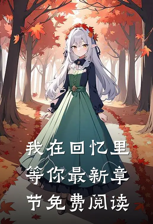 我在回忆里等你最新章节免费阅读