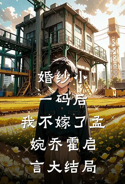 婚纱小一码后，我不嫁了孟婉乔霍启言大结局