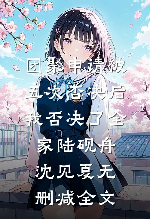 团聚申请被五次否决后，我否决了全家陆砚舟沈见夏无删减全文