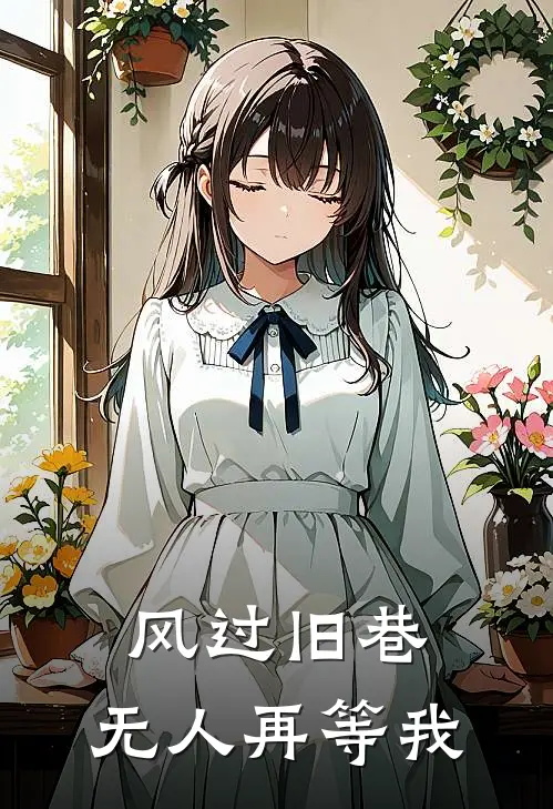 风过旧巷，无人再等我