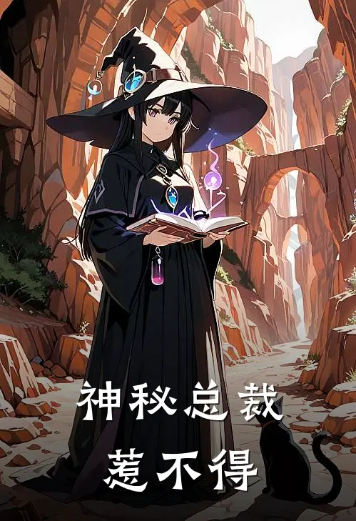 神秘总裁惹不得