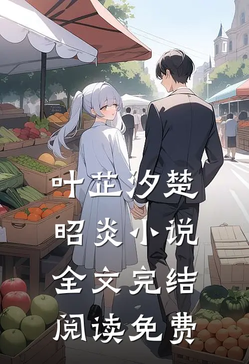 叶芷汐楚昭炎小说叫什么名字