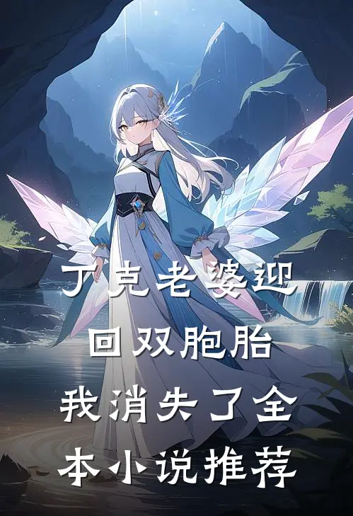 丁克老婆迎回双胞胎,我消失了全本推荐免费阅读