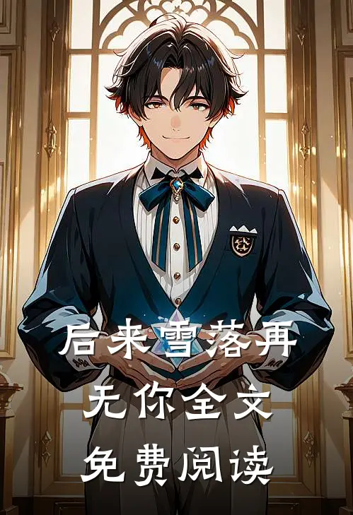 后来雪落再无你全文免费阅读