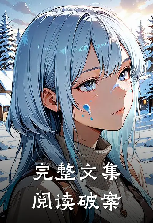 完整文集阅读破案