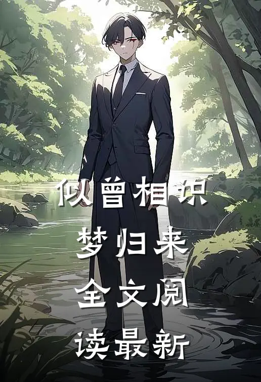 似曾相识梦归来全文阅读最新