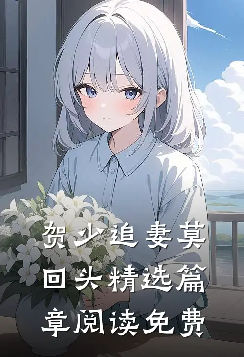 贺少追妻莫回头精选篇章阅读免费