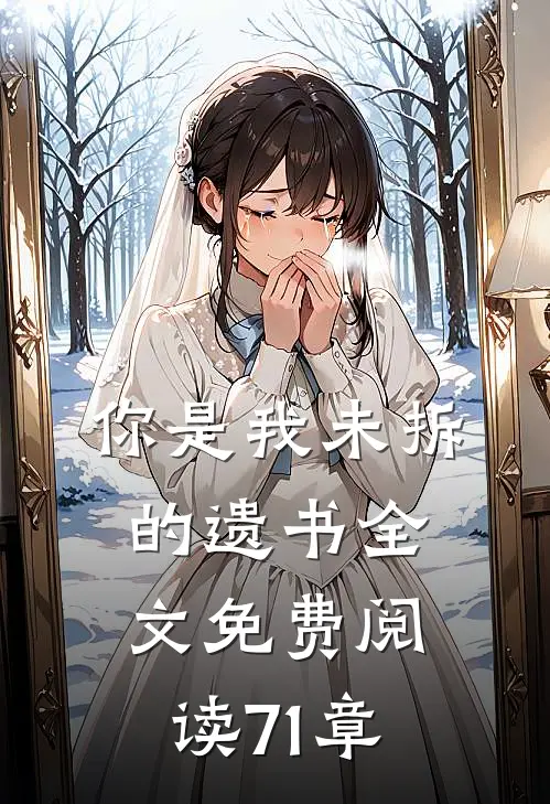 你是我未拆的遗书全文免费阅读71章
