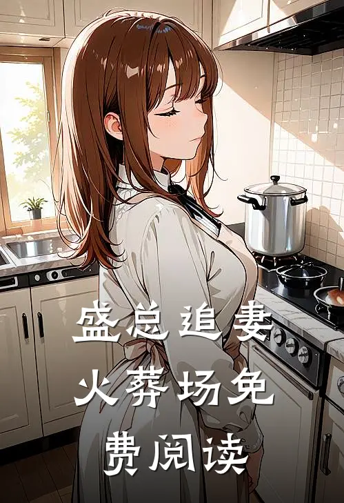 盛总追妻火葬场免费阅读