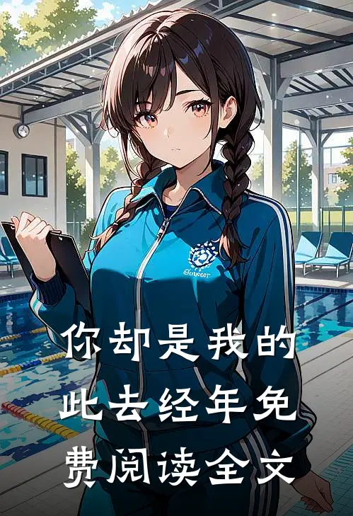 你却是我的此去经年免费阅读全文