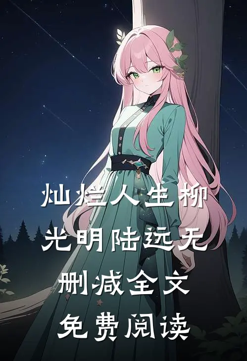灿烂人生柳光明陆远无删减全文免费阅读