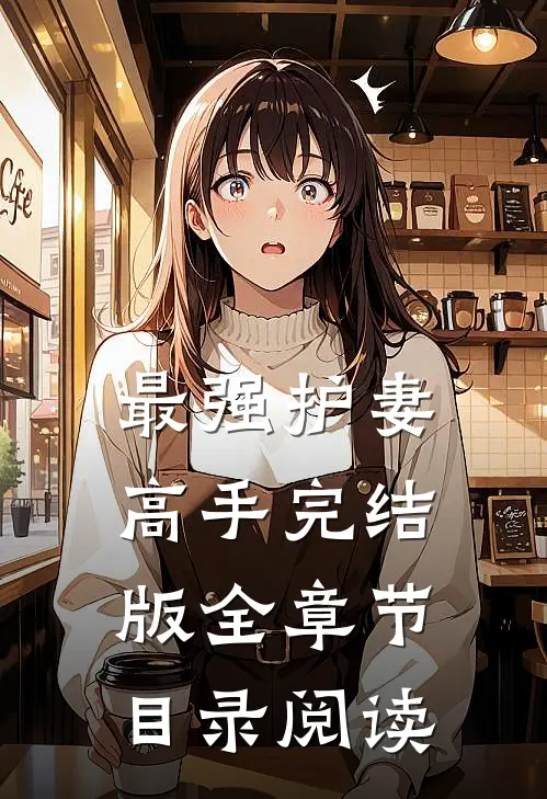 最强护妻高手完结版全章节目录阅读