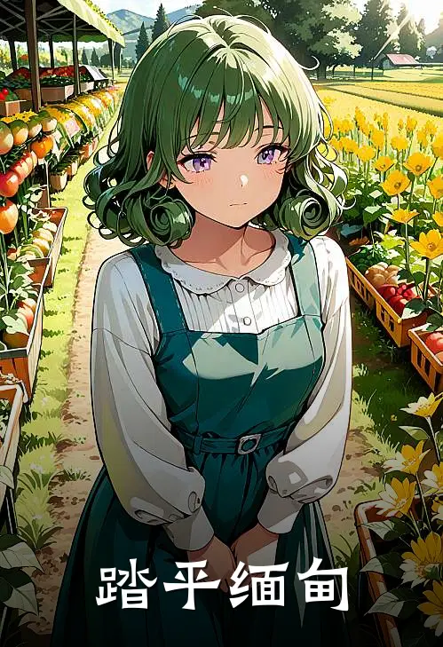 踏平缅甸
