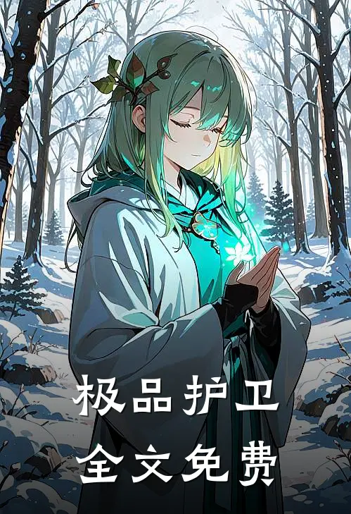 极品护卫全文免费
