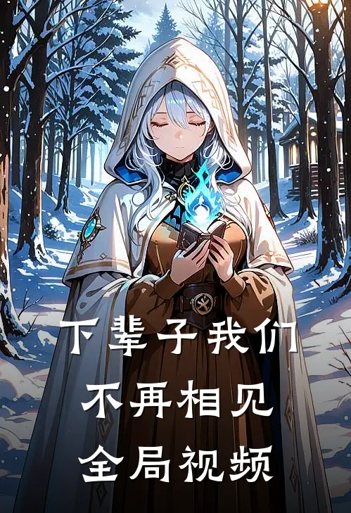 下辈子我们不再相见全局视频