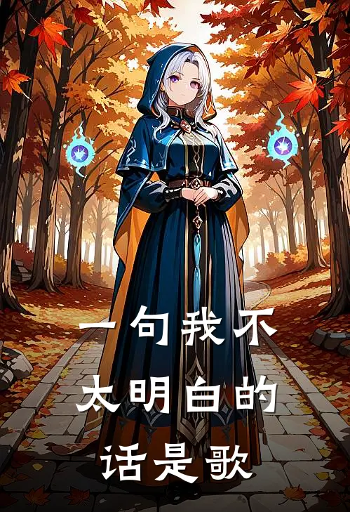 一句我不太明白的话是歌