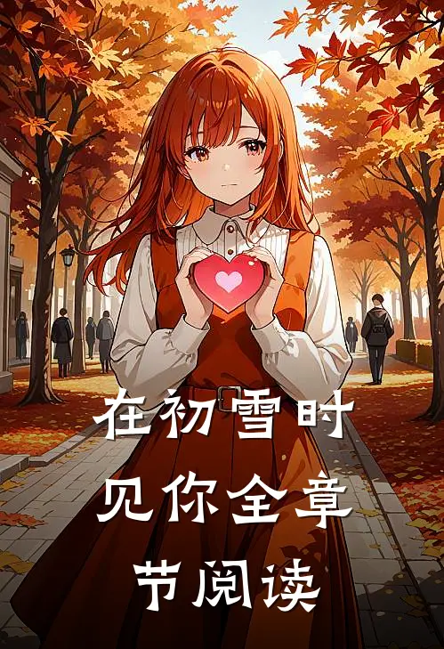 在初雪时见你全章节阅读