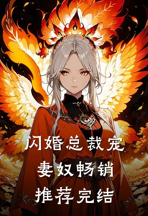 闪婚总裁宠妻奴畅销推荐完结