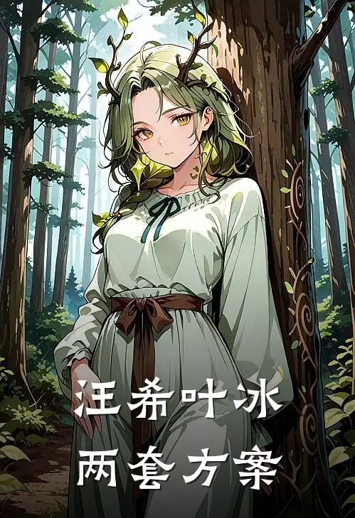 汪希叶冰两套方案