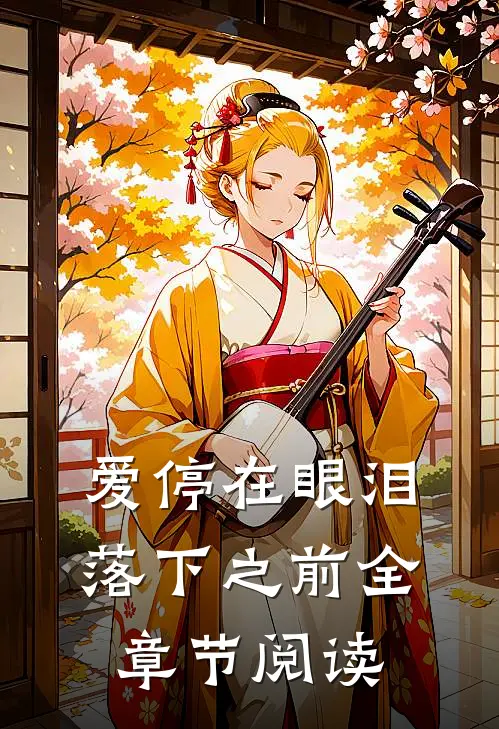 爱停在眼泪落下之前全章节阅读
