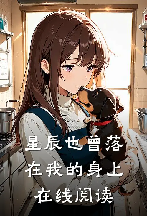 星辰也曾落在我的身上在线阅读