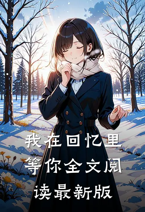 我在回忆里等你全文阅读最新版