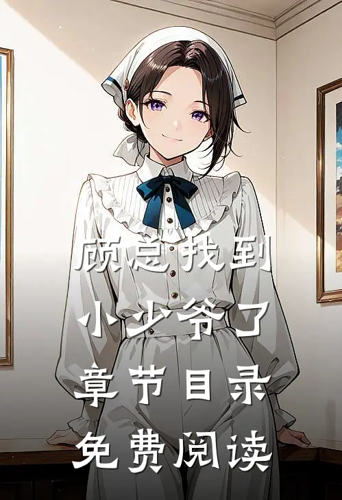 顾总找到小少爷了章节目录免费阅读