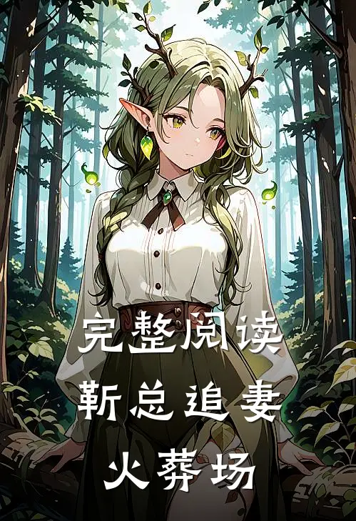 完整阅读靳总追妻火葬场