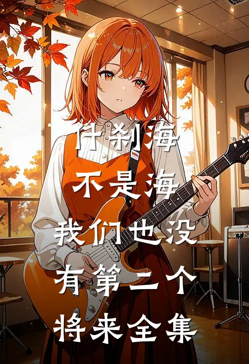 什刹海不是海，我们也没有第二个将来全集