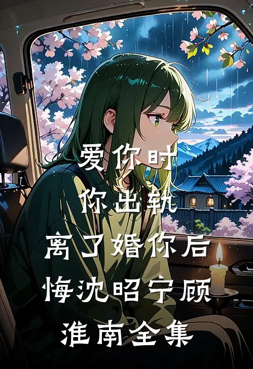 爱你时你出轨，离了婚你后悔沈昭宁顾淮南全集