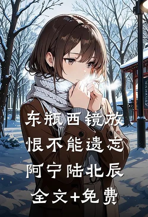 东瓶西镜放，恨不能遗忘阿宁陆北辰全文+免费