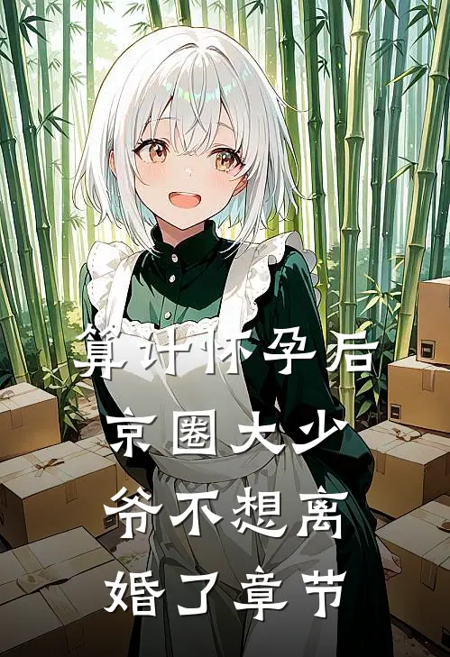 算计怀孕后京圈大少爷不想离婚了章节