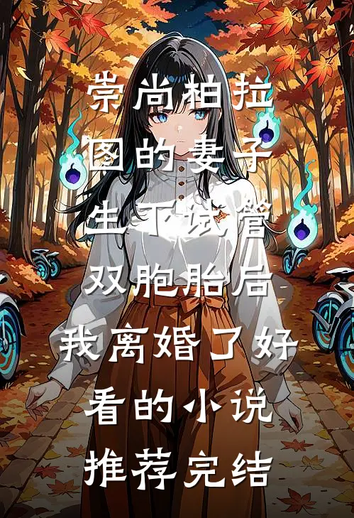 崇尚柏拉图的妻子生下试管双胞胎后，我离婚了好看的小说推荐完结