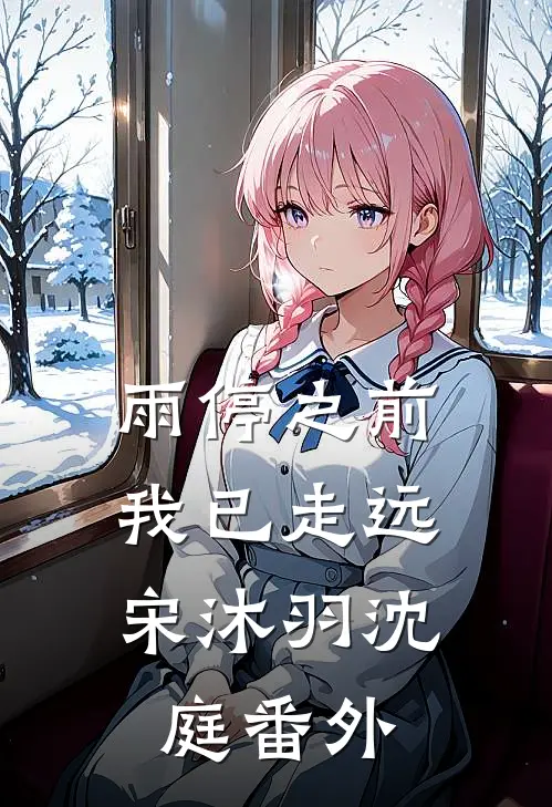 雨停之前，我已走远宋沐羽沈庭番外