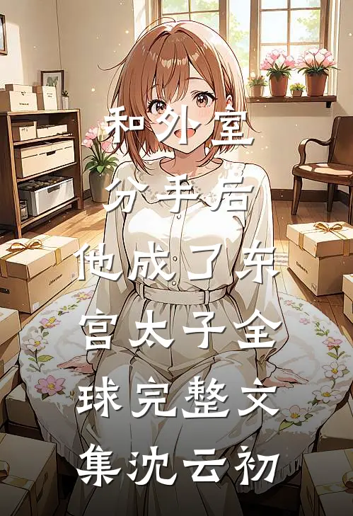和外室分手后，他成了东宫太子全球完整文集沈云初