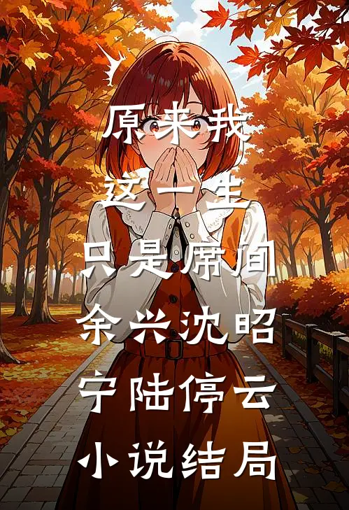 原来我这一生，只是席间余兴沈昭宁陆停云小说结局