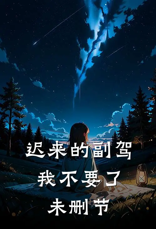迟来的副驾，我不要了未删节