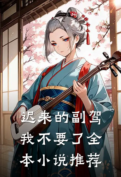 迟来的副驾，我不要了全本小说推荐