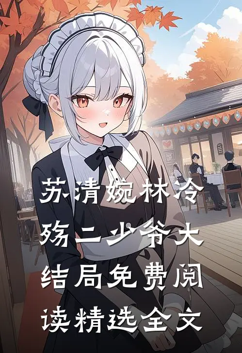 苏清婉林冷殇二少爷大结局免费阅读精选全文