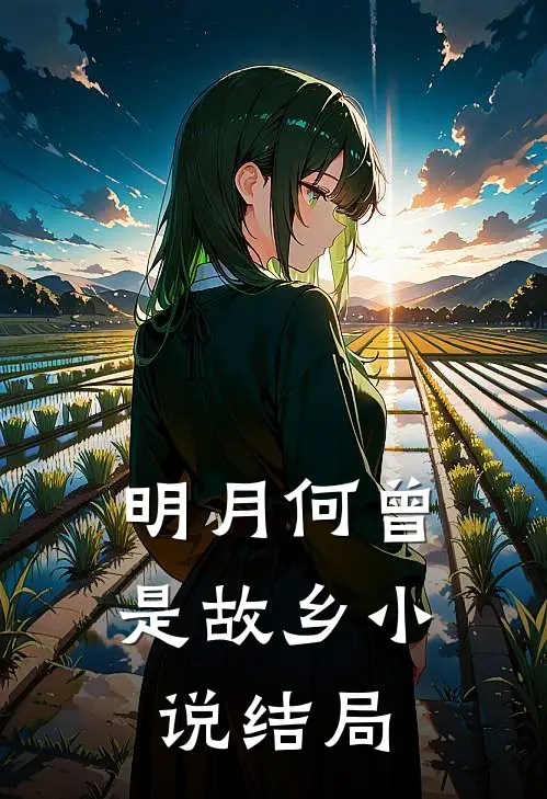 明月何曾是故乡小说结局