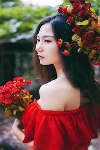 心如枯木不等春秋在线阅读