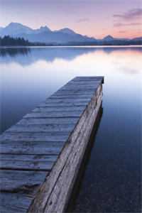 绵绵温情差时寒知乎