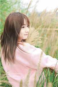 随星，随月，随清风完结文