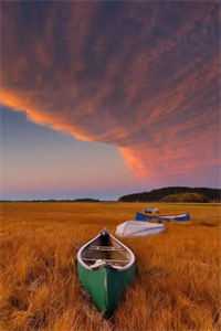 对照组兼祧四房？康巴汉子真香了全文阅读最新